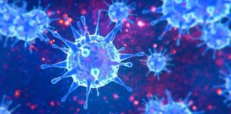 Números sem evolução negativa no Alentejo