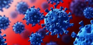 Distrito de Setúbal regista 711 infetados, menos um que ontem