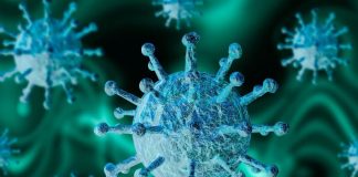 Infetados no distrito de Setúbal voltaram a aumentar, sendo agora 839