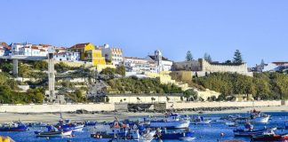 Sines apoia famílias, empresas e instituições do concelho