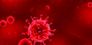 Novo coronavírus faz mais um doente no Alentejo