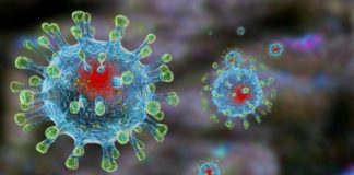 Pandemia fez a primeira vítima no Alentejo e atinge 176 pessoas