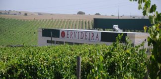 Ervideira faz doação à Rede de Emergência Alimentar