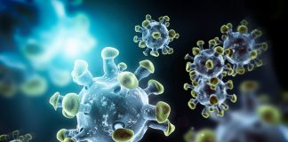 Alentejo regista esta terça-feira 173 doentes, mas continua sem vítimas mortais