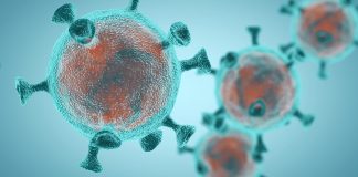 Pandemia parece estar a estabilizar no Alentejo, são mais dois os casos positivos