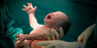 Bebé filho de mãe infetada nasce em Évora e teste à infeção é negativo