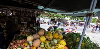 Mercado tradicional de Estremoz reabre no sábado com restrições