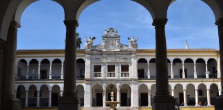 Universidade de Évora desenvolve projeto para doentes domiciliados