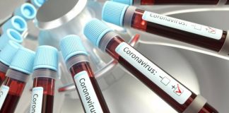 Testes nos lares do distrito de Portalegre devem avançar em breve