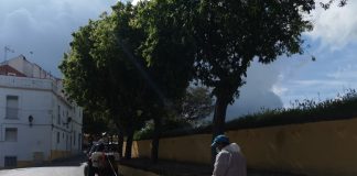 Higienização prossegue em Elvas