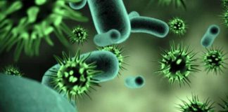 Alentejo regista a primeira morte e 62 pessoas infetadas