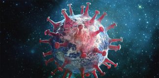 Almada ultrapassa as duas centenas de infetados num distrito que tem 683 casos