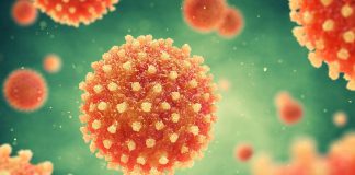 Pandemia contínua sem dar tréguas no distrito de Setúbal onde são já 365 os casos positivos