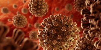 Números da pandemia sobe para 158 no Alentejo