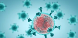 Mantêm-se os 235 infetados com o novo coronavírus no Alentejo