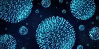 Existem agora 552 infetados no distrito de Setúbal