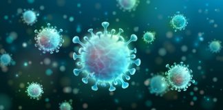 Distrito de Setúbal regista esta quinta-feira 480 casos positivos