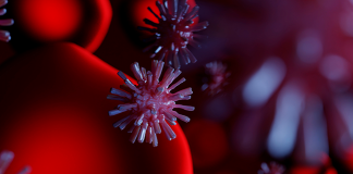 São 574 os doentes no distrito e Almada e Seixal continuam a ser os mais afetados