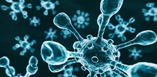 Infetados no Alentejo são agora 85