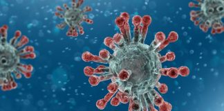 Número de infetados no Alentejo sobe para 94