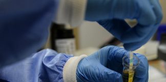 Testes no lar da Santa Casa da Misericórdia de Sines deram todos negativos