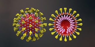 Almada tem cerca de um terço dos doentes do distrito de Setúbal