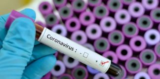 Governo toma medidas de apoio à comunidade cigana em bairro de Moura