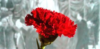 Vasto programa virtual para celebrar Abril de Grândola