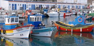 Ministro promete reavaliar proibição de pesca ao fim de semana em Setúbal e Sesimbra