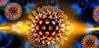 Alentejo regista um decréscimo de sete pessoas infetadas