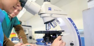 Três milhões de euros para empresas e instituições científicas do Alentejo