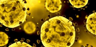 Há mais três infetados no distrito de Setúbal, são agora 625 os doentes