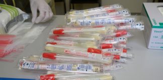 Universidade de Évora começa hoje a fazer testes ao novo coronavírus