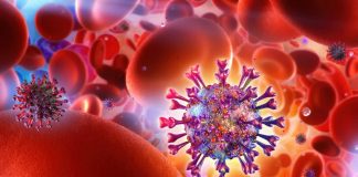 Distrito de Setúbal mantém 574 doentes com o novo coronavírus