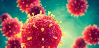 Afinal ainda não há vítimas no Alentejo mas há 63 infetados