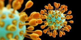 Moura tem mais de um quarto dos 214 infetados do Alentejo