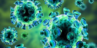 Alentejo regista 82 infetados e zero mortos