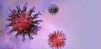 Número de doentes no Alentejo dispara para os 125