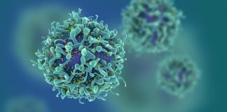 Aumentam os concelhos com casos positivos, são agora 181 os infetados no Alentejo