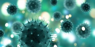 Distrito de Setúbal conta com 397 doentes