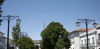 Cafés e restaurantes de Beja isentos de taxa de esplanadas este ano