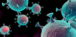 Registam-se esta terça-feira mais 18 infetados no distrito de Setúbal