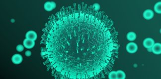 Almada regista a maior subida do distrito que tem agora 733 pessoas infetadas