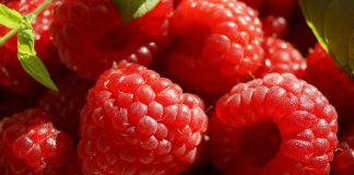 Empresa de Odemira doa toneladas de fruta ao Banco Alimentar Contra a Fome