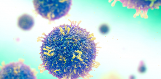 Pandemia parece estabilizada no Alentejo, onde existem 220 infetados