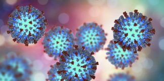 Mais 16 novos doentes com o vírus no distrito de Setúbal