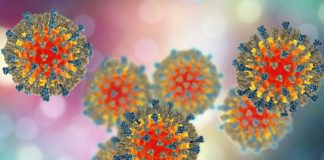 Distrito de Setúbal atinge os 804 casos positivos de coronavírus