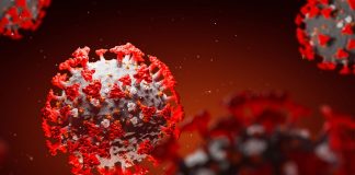 Alentejo sem alterações relativas ao número de infetados com o novo coronavírus