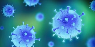 Número de doentes no distrito de Setúbal sobe para os 744