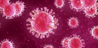 Subiu para 890 o número de infetados no distrito de Setúbal